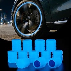¿Cuál elegir? Tapones Cromados o de Plástico para Válvulas