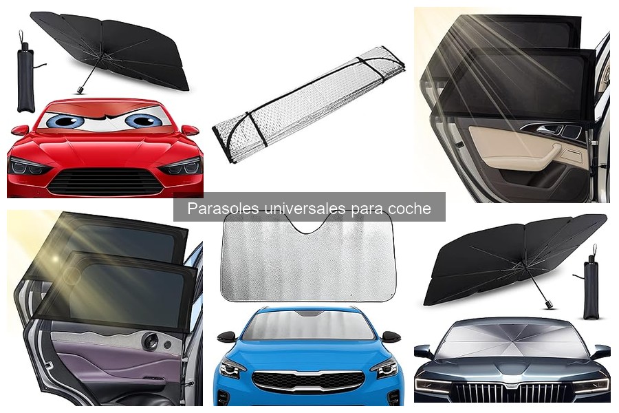 Alternativas a los Parasoles Universales para Coche
