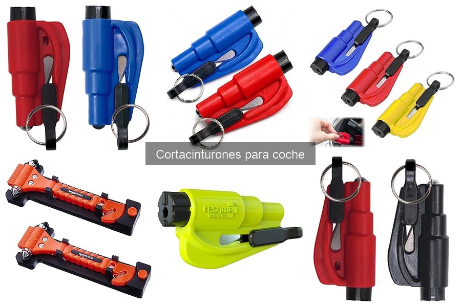 Cómo elegir el mejor cortacinturones para niños | Guía práctica