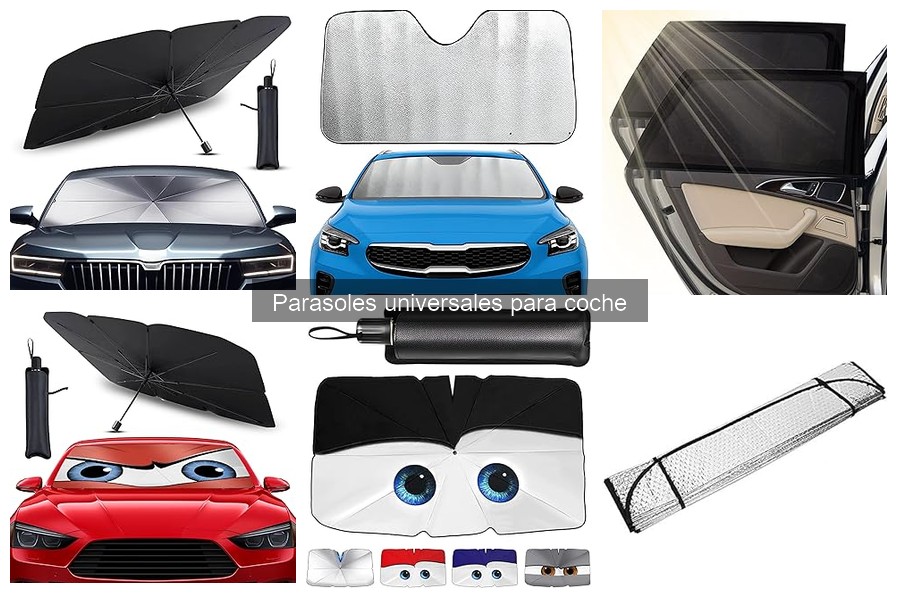 ¿Cómo elegir el parasol universal ideal para tu coche?