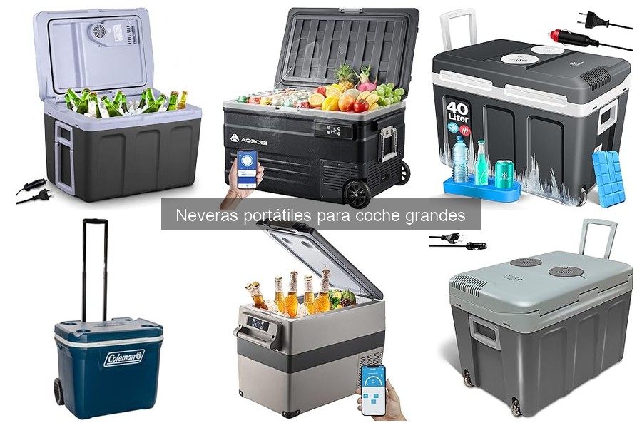 Cómo instalar y usar tu nevera portátil grande con éxito