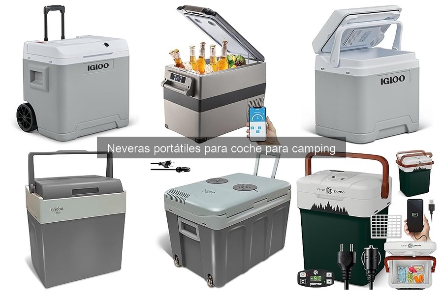** Cómo usar una nevera portátil en el coche correctamente