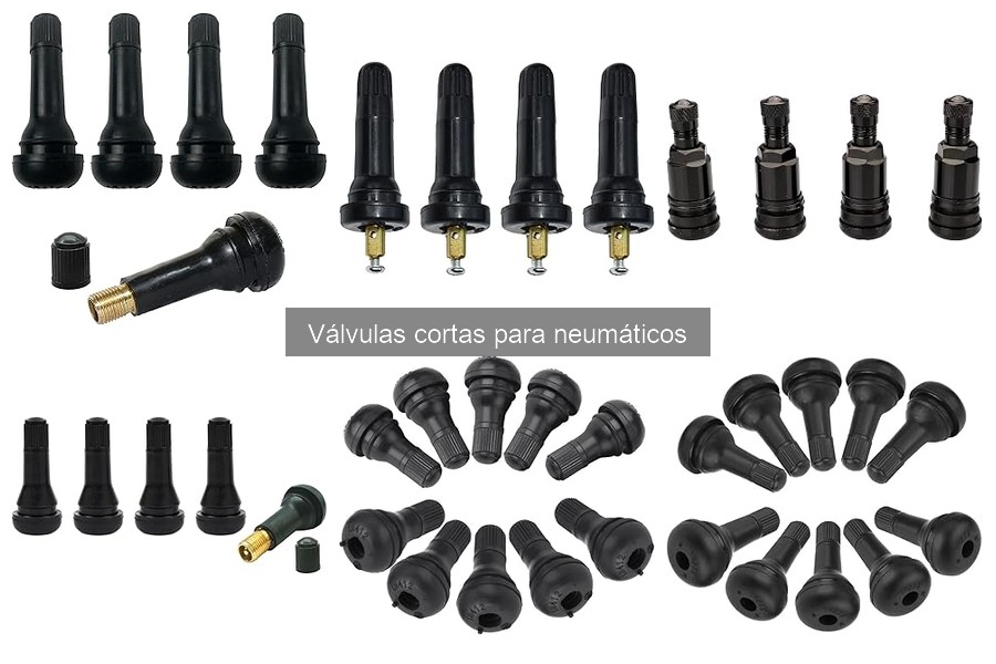 Comparativa: Válvulas Cortas vs. Largas para Neumáticos