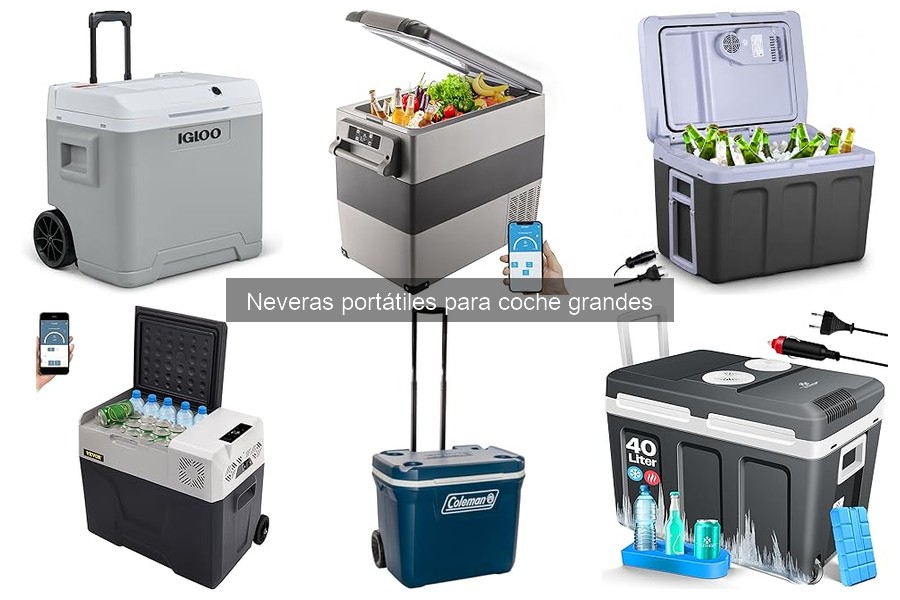 Experiencias de usuarios con neveras portátiles grandes