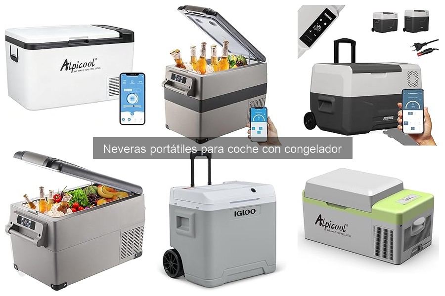 Guía de compra de neveras portátiles con congelador para coche