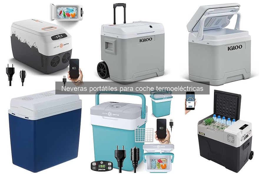 Mantenimiento de neveras portátiles termoeléctricas para coche