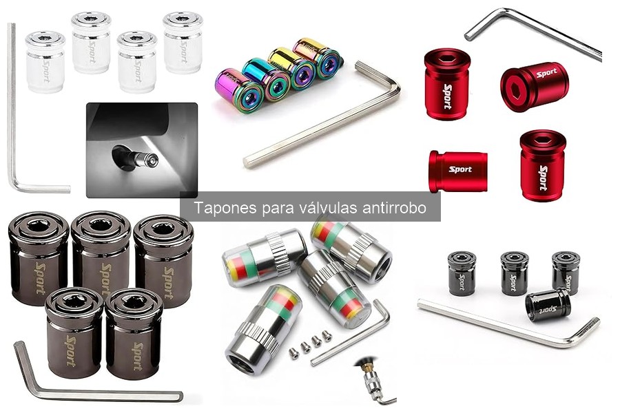 Mejores marcas de tapones para válvulas antirrobo en 2023