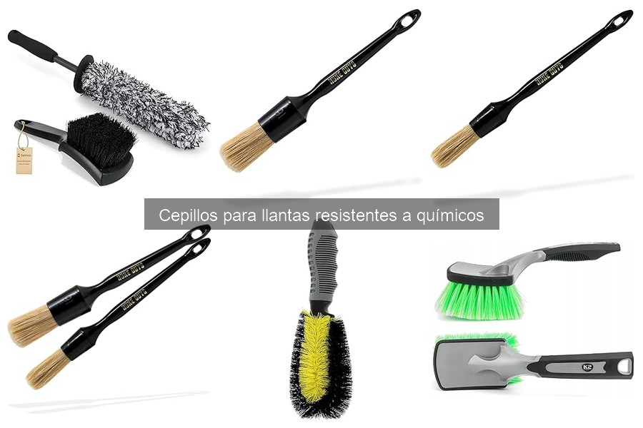 Mejores ofertas de cepillos para llantas en Amazon