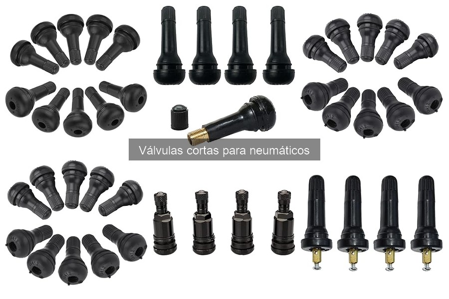 Mejores válvulas cortas para neumáticos de coche en 2023