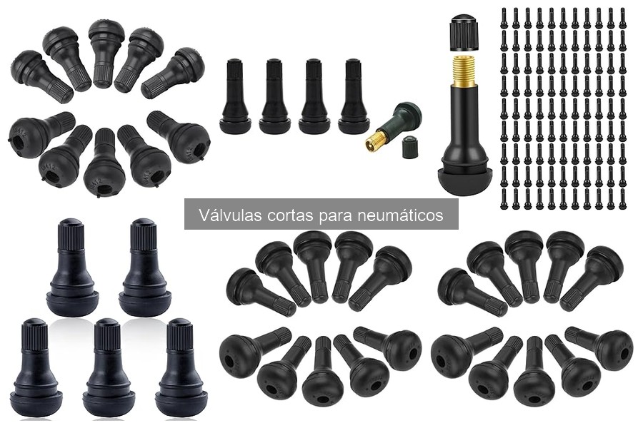Precios de válvulas cortas para neumáticos y dónde comprarlas