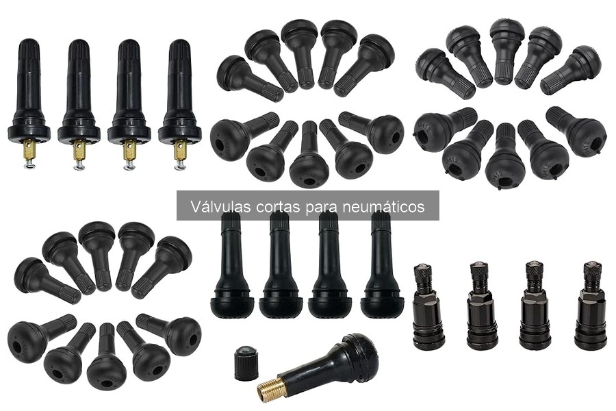 Prevención de fugas en válvulas cortas para neumáticos