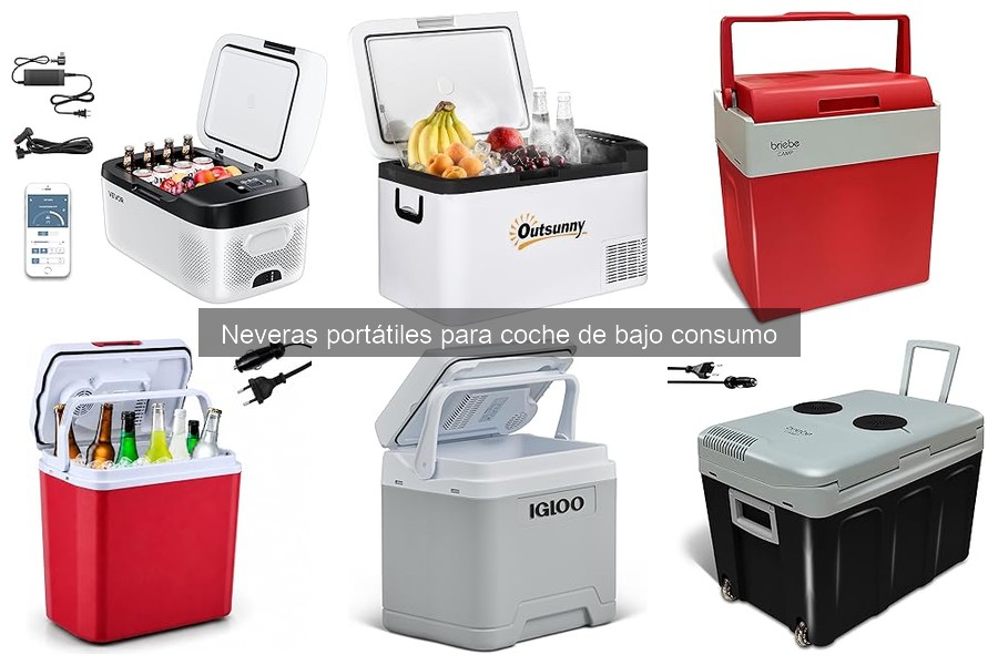 Problemas comunes de neveras portátiles y sus soluciones