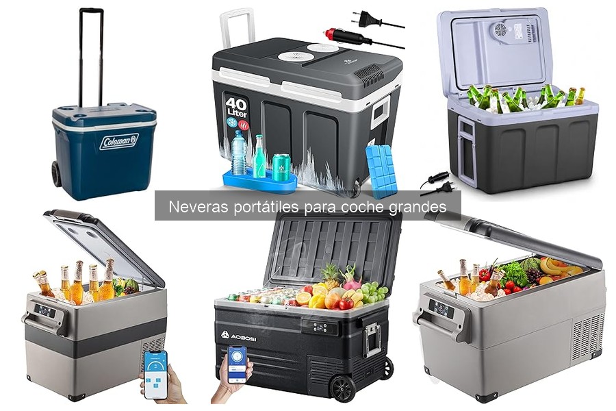Problemas comunes en neveras portátiles grandes y soluciones