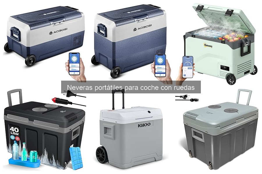** Problemas comunes en neveras portátiles para coche con ruedas