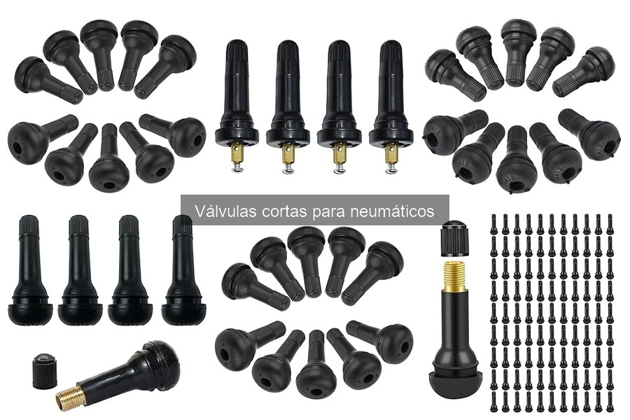 Testimonios de usuarios sobre válvulas cortas para neumáticos