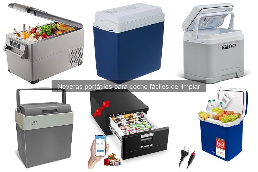Tipos de neveras portátiles para coche: características y usos